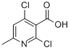 2,4-Dichloro-6-methylnicotinic acidStructure,56022-07-2Structure 2,4-Dichloro-6-methylnicotinic acid Structure,56022-07-2Structure