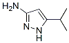 5-Isopropyl-1H-pyrazol-3-amineStructure,56367-24-9Structure 5-Isopropyl-1H-pyrazol-3-amine Structure,56367-24-9Structure