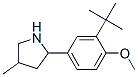 (9CI)-2-[3-(1,1-二甲基乙基)-4-甲氧基苯基]-4-甲基-吡咯烷結構式_603068-79-7結構式