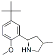 (9CI)-2-[5-(1,1-二甲基乙基)-2-甲氧基苯基]-4-甲基-吡咯烷結(jié)構(gòu)式_603068-96-8結(jié)構(gòu)式