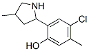 Phenol, 4-chloro-5-methyl-2-(4-methyl-2-pyrrolidinyl)-(9ci)Structure,603069-14-3Structure Phenol, 4-chloro-5-methyl-2-(4-methyl-2-pyrrolidinyl)-(9ci) Structure,603069-14-3Structure