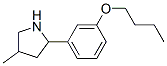 Pyrrolidine, 2-(3-butoxyphenyl)-4-methyl- (9ci)Structure,603089-76-5Structure Pyrrolidine, 2-(3-butoxyphenyl)-4-methyl- (9ci) Structure,603089-76-5Structure