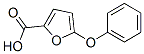 5-苯氧基-2-糠酸結(jié)構(gòu)式_60698-32-0結(jié)構(gòu)式