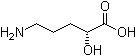(R)-5-氨基-2-羥基戊酸結(jié)構(gòu)式_63316-29-0結(jié)構(gòu)式