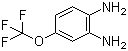 1,2-Diamino-4-(trifluoromethoxy)benzeneStructure,658-89-9Structure 1,2-Diamino-4-(trifluoromethoxy)benzene Structure,658-89-9Structure