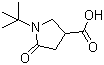 1-Tert-butyl-5-oxopyrrolidine-3-carboxylic acidStructure,66366-87-8Structure 1-Tert-butyl-5-oxopyrrolidine-3-carboxylic acid Structure,66366-87-8Structure