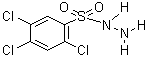 2,4,5-Trichlorobenzenesulfonyl hydrazideStructure,6655-72-7Structure 2,4,5-Trichlorobenzenesulfonyl hydrazide Structure,6655-72-7Structure