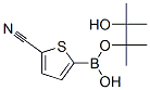 2-Thiophenecarbonitrile, 5-(4,4,5,5-tetramethyl-1,3,2-dioxaborolan-2-yl)-Structure,676501-85-2Structure 2-Thiophenecarbonitrile, 5-(4,4,5,5-tetramethyl-1,3,2-dioxaborolan-2-yl)- Structure,676501-85-2Structure
