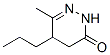 3(2H)-pyridazinone, 4,5-dihydro-6-methyl-5-propyl-(9ci)Structure,679405-97-1Structure 3(2H)-pyridazinone, 4,5-dihydro-6-methyl-5-propyl-(9ci) Structure,679405-97-1Structure