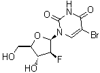 5-Bromo-1-(2-deoxy-2-fluoro-beta-d-arabinofuranosyl)-2,4(1h,3h)-pyrimidinedioneStructure,69123-97-3Structure 5-Bromo-1-(2-deoxy-2-fluoro-beta-d-arabinofuranosyl)-2,4(1h,3h)-pyrimidinedione Structure,69123-97-3Structure