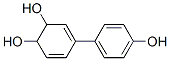 3,5-Cyclohexadiene-1,2-diol, 4-(4-hydroxyphenyl)-(9ci)Structure,69432-59-3Structure 3,5-Cyclohexadiene-1,2-diol, 4-(4-hydroxyphenyl)-(9ci) Structure,69432-59-3Structure