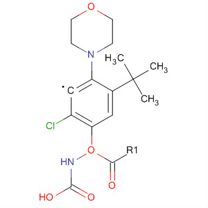 (2-Chloro-4-morpholin-4-yl-phenyl)-carbamic acid tert-butyl esterStructure,700804-11-1Structure (2-Chloro-4-morpholin-4-yl-phenyl)-carbamic acid tert-butyl ester Structure,700804-11-1Structure