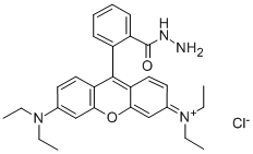 羅丹明B酰肼結(jié)構式_74317-53-6結(jié)構式