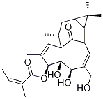 3-Ingenyl angelateStructure,75567-37-2Structure 3-Ingenyl angelate Structure,75567-37-2Structure