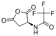 (S)-(-)-2-(trifluoroacetamido)succinic anhydrideStructure,777-33-3Structure (S)-(-)-2-(trifluoroacetamido)succinic anhydride Structure,777-33-3Structure