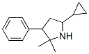 Pyrrolidine, 5-cyclopropyl-2,2-dimethyl-3-phenyl- (9ci)Structure,782392-43-2Structure Pyrrolidine, 5-cyclopropyl-2,2-dimethyl-3-phenyl- (9ci) Structure,782392-43-2Structure