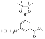 (3-Amino-5-methoxycarbonyl)benzeneboronicacidpinacolesterhydrochlorideStructure,850567-50-9Structure (3-Amino-5-methoxycarbonyl)benzeneboronicacidpinacolesterhydrochloride Structure,850567-50-9Structure