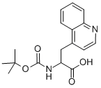 N-boc-2-amino-3-quinolin-4-yl-propionic acidStructure,851307-45-4Structure N-boc-2-amino-3-quinolin-4-yl-propionic acid Structure,851307-45-4Structure