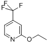 2-Ethoxy-4-(trifluoromethyl)pyridineStructure,858421-08-6Structure 2-Ethoxy-4-(trifluoromethyl)pyridine Structure,858421-08-6Structure
