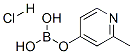 2-Picoline-4-boronic acid hclStructure,861905-97-7Structure 2-Picoline-4-boronic acid hcl Structure,861905-97-7Structure