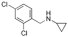 環(huán)丙基-(2,4-二氯-芐基)-胺結(jié)構(gòu)式_892568-95-5結(jié)構(gòu)式