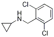 環(huán)丙基-(2,6-二氯-芐基)-胺結(jié)構(gòu)式_892569-22-1結(jié)構(gòu)式