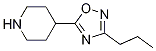 5-(Piperidin-4-yl)-3-propyl-1,2,4-oxadiazole Structure,902837-03-0Structure