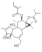 伏波酯-12-惕各酸酯-13-異丁酸酯結(jié)構(gòu)式_92214-54-5結(jié)構(gòu)式