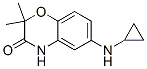 2H-1,4-benzoxazin-3(4h)-one, 6-(cyclopropylamino)-2,2-dimethyl-Structure,944143-12-8Structure 2H-1,4-benzoxazin-3(4h)-one, 6-(cyclopropylamino)-2,2-dimethyl- Structure,944143-12-8Structure