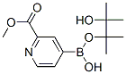 2-Pyridinecarboxylic acid, 4-(4,4,5,5-tetramethyl-1,3,2-dioxaborolan-2-yl)-, methyl esterStructure,957062-72-5Structure 2-Pyridinecarboxylic acid, 4-(4,4,5,5-tetramethyl-1,3,2-dioxaborolan-2-yl)-, methyl ester Structure,957062-72-5Structure