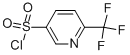 3-Pyridinesulfonyl chloride, 6-(trifluoromethyl)-Structure,959996-58-8Structure 3-Pyridinesulfonyl chloride, 6-(trifluoromethyl)- Structure,959996-58-8Structure