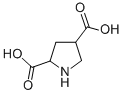 2,4-Pyrrolidinedicarboxylic acidStructure,99319-03-6Structure 2,4-Pyrrolidinedicarboxylic acid Structure,99319-03-6Structure