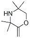 Morpholine, 3,3,5,5-tetramethyl-2-methylene-Structure,99777-12-5Structure Morpholine, 3,3,5,5-tetramethyl-2-methylene- Structure,99777-12-5Structure