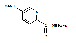 2-Pyridinecarboxamide, 5-(methylamino)-n-propyl-Structure,204973-08-0Structure 2-Pyridinecarboxamide, 5-(methylamino)-n-propyl- Structure,204973-08-0Structure