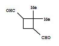 1,3-Cyclobutanedicarboxaldehyde, 2,2-dimethyl-(9ci)Structure,220512-40-3Structure 1,3-Cyclobutanedicarboxaldehyde, 2,2-dimethyl-(9ci) Structure,220512-40-3Structure