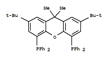 (R,r)-2,7-di-tert-butyl-9,9-dimethyl-4,5-bis(methylphenylphosphino)xantheneStructure,221462-97-1Structure (R,r)-2,7-di-tert-butyl-9,9-dimethyl-4,5-bis(methylphenylphosphino)xanthene Structure,221462-97-1Structure