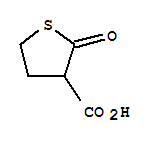3-Thiophenecarboxylicacid,tetrahydro-2-oxo-(9ci)Structure,222046-78-8Structure 3-Thiophenecarboxylicacid,tetrahydro-2-oxo-(9ci) Structure,222046-78-8Structure