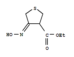 3-Thiophenecarboxylicacid,tetrahydro-4-(hydroxyimino)-,ethylester(9ci)Structure,224449-43-8Structure 3-Thiophenecarboxylicacid,tetrahydro-4-(hydroxyimino)-,ethylester(9ci) Structure,224449-43-8Structure