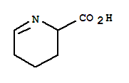 2,3,4,5-四氫吡啶-2-羧酸結(jié)構(gòu)式_3038-89-9結(jié)構(gòu)式
