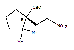 Cyclopentanecarboxaldehyde,2,2-dimethyl-1-(2-nitroethyl)-,(1r)-(9ci)Structure,325705-65-5Structure Cyclopentanecarboxaldehyde,2,2-dimethyl-1-(2-nitroethyl)-,(1r)-(9ci) Structure,325705-65-5Structure