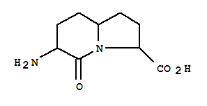 3-Indolizinecarboxylicacid,6-aminooctahydro-5-oxo-(9ci)Structure,349101-80-0Structure 3-Indolizinecarboxylicacid,6-aminooctahydro-5-oxo-(9ci) Structure,349101-80-0Structure