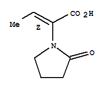 (2Z)-2-(2-oxo-1-pyrrolidinyl)-2-butenoic acidStructure,358629-39-7Structure (2Z)-2-(2-oxo-1-pyrrolidinyl)-2-butenoic acid Structure,358629-39-7Structure