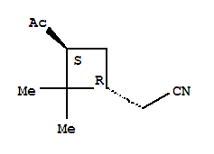 Cyclobutaneacetonitrile,3-acetyl-2,2-dimethyl-,(1r,3s)-rel-(9ci)Structure,368423-20-5Structure Cyclobutaneacetonitrile,3-acetyl-2,2-dimethyl-,(1r,3s)-rel-(9ci) Structure,368423-20-5Structure