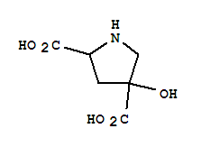 2,4-Pyrrolidinedicarboxylicacid,4-hydroxy-(9ci)Structure,64927-39-5Structure 2,4-Pyrrolidinedicarboxylicacid,4-hydroxy-(9ci) Structure,64927-39-5Structure