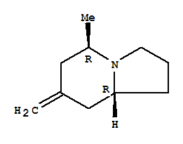 Indolizine, octahydro-5-methyl-7-methylene-, (5r,8ar)-(9ci)Structure,727985-42-4Structure Indolizine, octahydro-5-methyl-7-methylene-, (5r,8ar)-(9ci) Structure,727985-42-4Structure