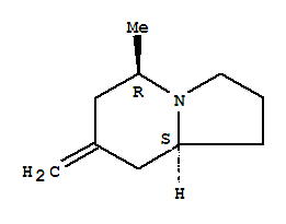 Indolizine, octahydro-5-methyl-7-methylene-, (5r,8as)-(9ci)Structure,727985-43-5Structure Indolizine, octahydro-5-methyl-7-methylene-, (5r,8as)-(9ci) Structure,727985-43-5Structure