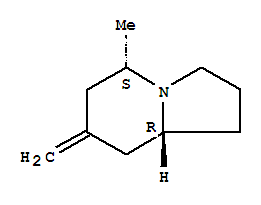 Indolizine, octahydro-5-methyl-7-methylene-, (5s,8ar)-(9ci)Structure,729612-51-5Structure Indolizine, octahydro-5-methyl-7-methylene-, (5s,8ar)-(9ci) Structure,729612-51-5Structure