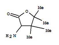 (9ci)-3-氨基二氫-4,4,5,5-四甲基-2(3H)-呋喃酮結(jié)構(gòu)式_747359-10-0結(jié)構(gòu)式