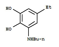 1,2-Benzenediol,3-(butylamino)-5-ethyl-(9ci)Structure,749845-77-0Structure 1,2-Benzenediol,3-(butylamino)-5-ethyl-(9ci) Structure,749845-77-0Structure