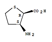 2-Thiophenecarboxylicacid,3-aminotetrahydro-,(2r,3s)-rel-(9ci)Structure,765242-80-6Structure 2-Thiophenecarboxylicacid,3-aminotetrahydro-,(2r,3s)-rel-(9ci) Structure,765242-80-6Structure